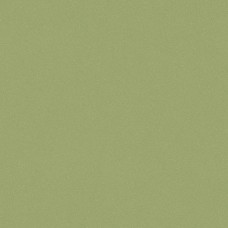 Линолеум коммерческий Tarkett Acczent Pro ASPECT 9 Линолеум коммерческий Tarkett Acczent Pro ASPECT 9